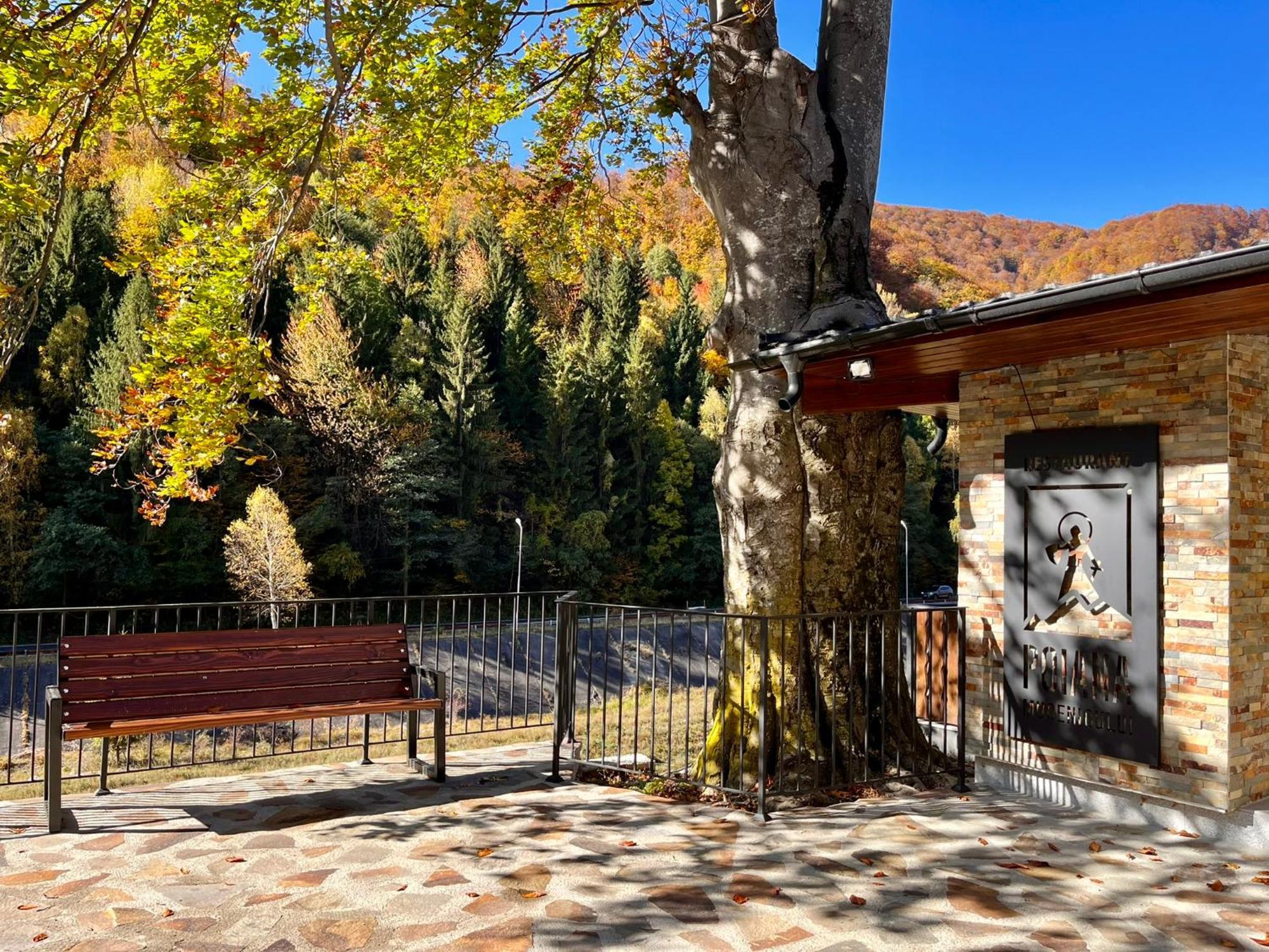 Poiana Mucenicului Arefu Exterior foto